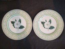 Set of 2 Royal Horticultural