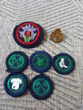 Vintage - UK Girl Guides cloth Badges x 6 &  metal pin badge  - mid 1970's 