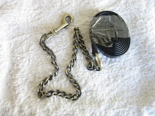 *** Miniature Horse /