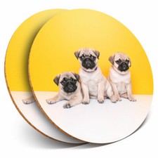 2 x Coasters - Trio of Pug
