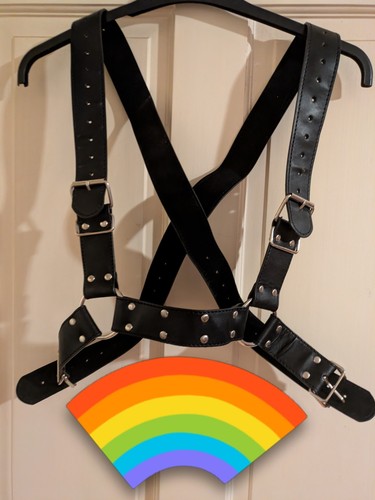 Large black buckle - buckle, harness