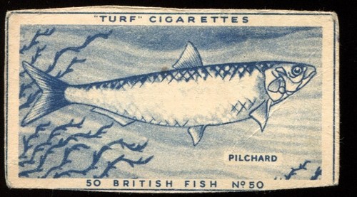 Tobacco card carreras - tobacco, turf