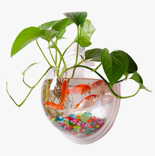 Wall mounted fish - fish, bowl