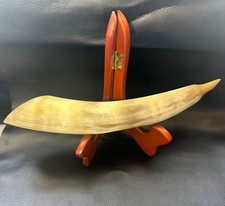 Natural Polished Bovine Cow/Ox