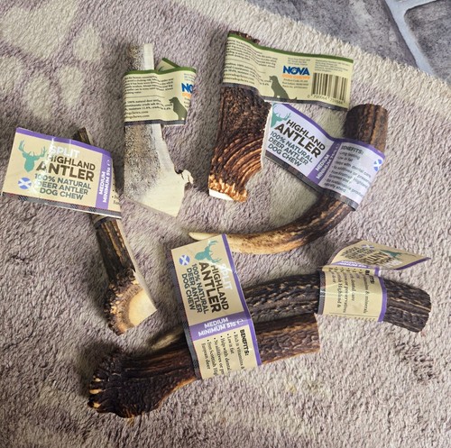 Antler dog chews - antler,