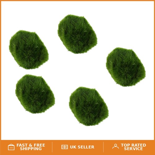 Miniature live marimo moss - miniature,