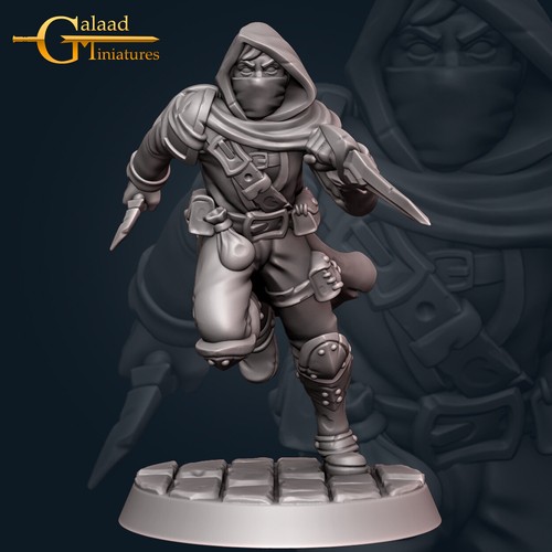 Human rogue assassin galaad - assassin,