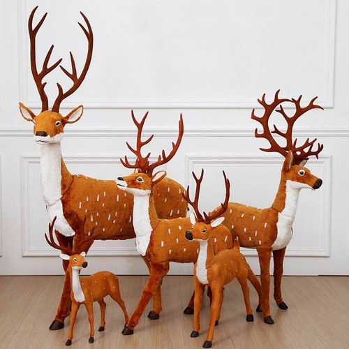 Reindeer christmas deer xmas - reindeer,