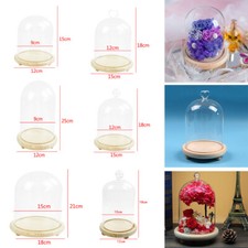 Large Decorative Glass Dome