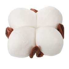  Office Seat Cushion Bench Bay