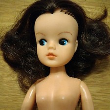 Basic 1976 Sindy Brunette Doll
