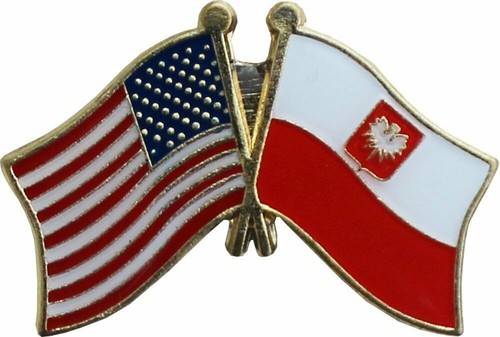 Usa american poland eagle - american,