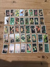 Brooke Bond Tea Cards