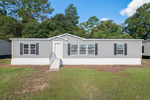2025 live oak - 2025,
