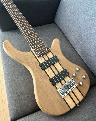 Harley benton string - harley,