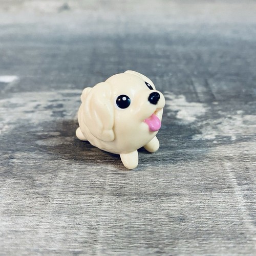 Chubby puppies mini - chubby,