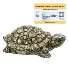 Pyrite Tortoise , Turtle