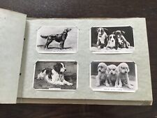 Dogs a full set of 48 Pattreiouex  Senior Service cards in album 1939