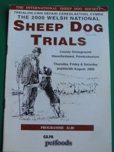 Welsh national sheep - national,