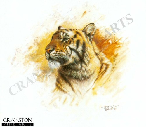 Indian asia wildlife art - art, print
