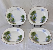 Colclough Vintage Bone China