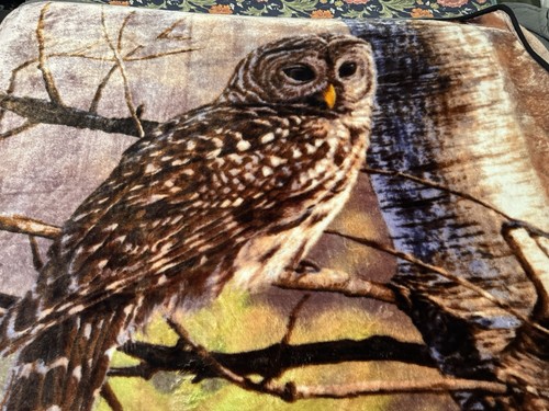 Barred owl fleece - owl,