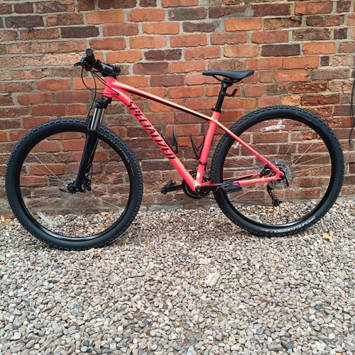 Specialized rockhopper comp - specialized,