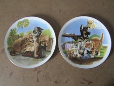 2 x  Royal Albert  Collectors