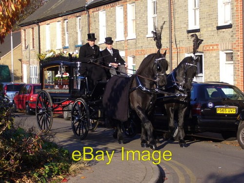 Photo 6x4 horse - photo, hearse