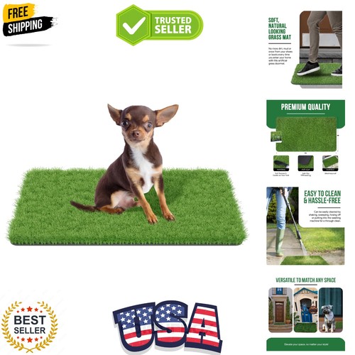 Fake grass for dogs - grass,