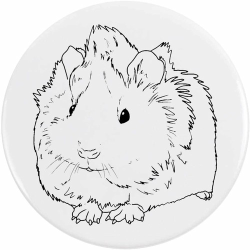 Guinea pig pup - pig, /