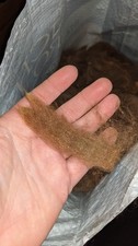 Alpaca raw wool, Medium Fawn