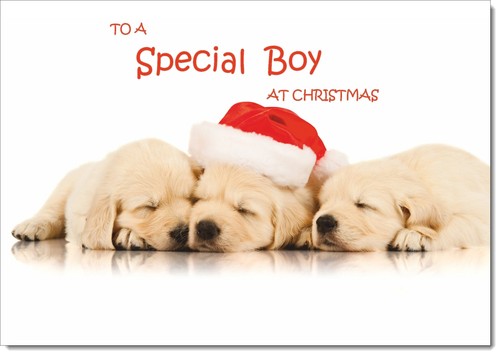 Doodlecards special boy - doodlecards,