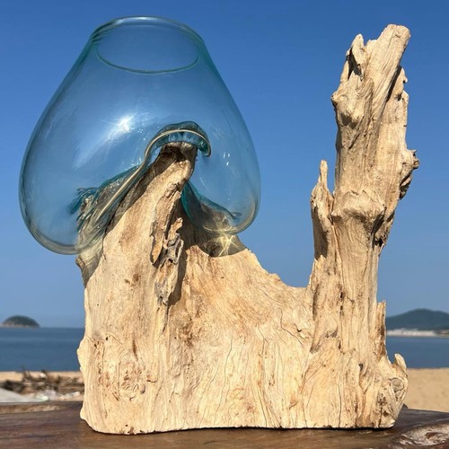 Driftwood glass object extra