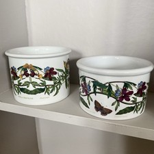 Portmeirion Botanic Garden Viola 2 Plant Pots