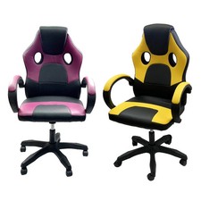 Luxury Executive Racing Gaming