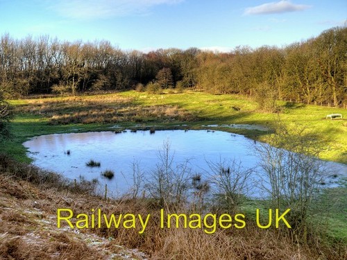Tram photo wetland area - photo,