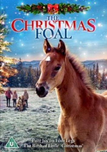 The christmas foal dvd - dvd, (2013)