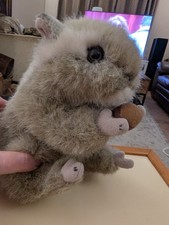 Fluffy Grey Squirrel with Nut