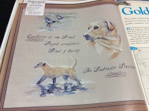 Golden labrador cross - golden, stitch