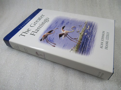 The greater flamingo - the, poyser