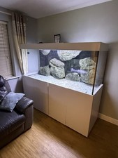 Large Aquarium 6ft X 32inches