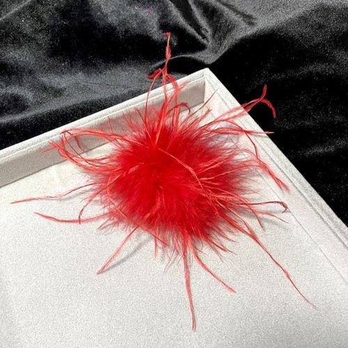 Natural feather ostrich - natural,