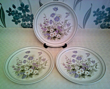 Vintage Arklow Ireland Honey Stone Field Flowers Dinner Plates x 3 - 27cm Wide
