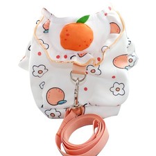 Small Puppy Clothes Bichon
