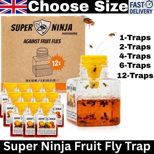 Super ninja fruit fly - ninja,