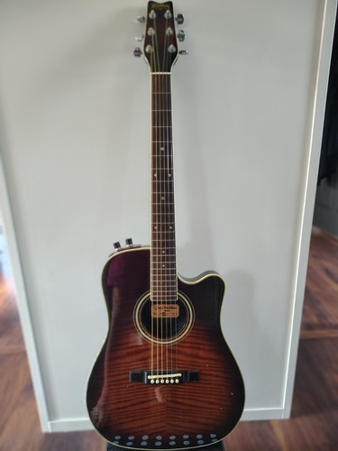 Washburn sbf spirit - sbf-24,