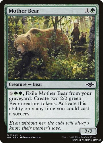 Mother bear common - mother, mh1