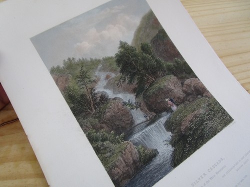 The silver cascades antique - the,