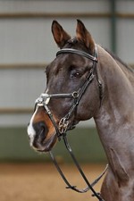 John Whitaker Valencia Mexican